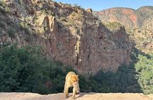 Private Ouzoud Waterfalls Excursion from Marrakech 