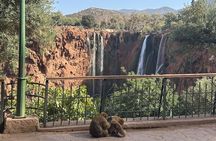 Private Ouzoud Waterfalls Excursion from Marrakech 