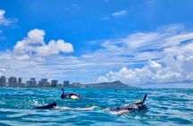 Waikiki Snorkel Adventure from Oahu