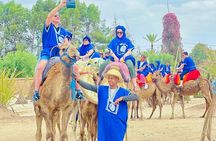 Dromedary at the Palmeraie of Marrakech