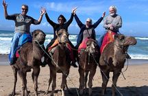 Tangier Authentic Private Tour with Camel Ride on the Beach 