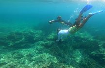Sea scooter Snorkeling Adventure