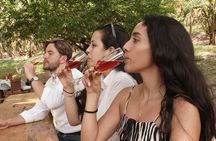 Wine in the Wild: A Nature-Inspired Wine Tasting near Cartagena