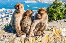 Discover Gibraltar with Gibtours