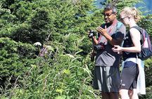 Photography & Advanced Hike to Turquois Lake & Glacier