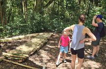 Half-Day St. Kitts Rainforest Hike
