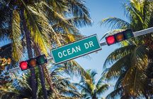 Summer Savings Sale! Explore the Best of Miami in 1 Day Tour