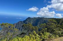 Kauai Island Private Guided Movie Tour from Poipu