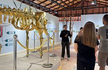 Koh Samui Elephant Home Sanctuary and Elephant Museum