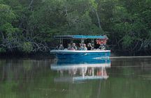 Tamarindo Estuary Boat Tour