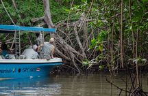 Tamarindo Estuary Boat Tour
