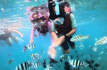 Snorkeling Blue Lagoon and Tanjung Jepun All Inclusive