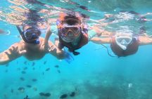 Snorkeling Blue Lagoon and Tanjung Jepun All Inclusive