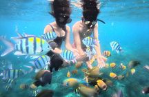 Snorkeling Blue Lagoon and Tanjung Jepun All Inclusive