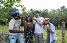 Electric Bike Ride and Appleton Tasting at Good Hope Estate