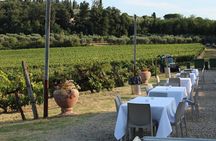 From Florence The Immersive Tuscan Winery Experience