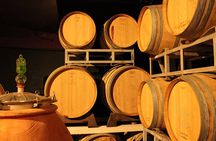 From Florence The Immersive Tuscan Winery Experience