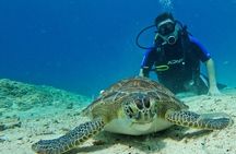 Protaras: Discover Scuba Diving For Beginners 2 Dives