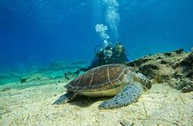 Protaras: Discover Scuba Diving For Beginners 2 Dives
