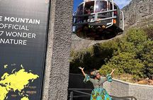 Half-Day Cape Town Tour: Tickets, Fees, Table Mountain & Penguins