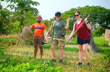 Bike of the Countryside in Siem Reap Half-day Morning