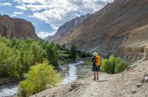 Markha Valley Trek in Ladakh 