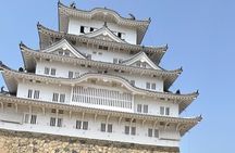 Discover Himeji Your Way 4 Hour Private Tour