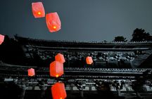 Discover Himeji Your Way 4 Hour Private Tour