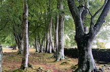 Invergordon Loch Ness Castles and Distillery Small Group Tour