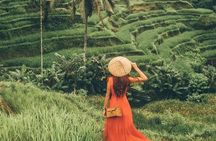 Bali Benoa Shore Excursion from Benoa Port - All Inclusive