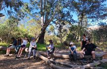 Melbourne Tour: Walk the Yarra & Heritage Convent Experience