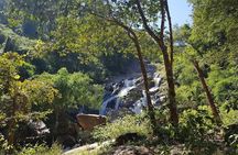 Chiang Mai 2 Day 1 Night Jungle Trekking and Bamboo Rafting
