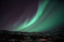 4 Hour Aurora Tour Photos Snacks and Warm Drinks Included