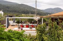 Authentic Valencian Paella Cooking Class