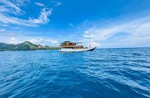 Komodo Private Boat tour 3Days 2 Night 
