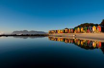 Table Mountain, Cape Point & Penguins Tour – All Fees Included