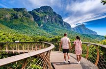 Kirstenbosch Botanical Gardens Guided Tour with Picnic Lunch 