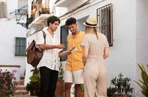 Best Intro to Avignon in 2 hours with a Local