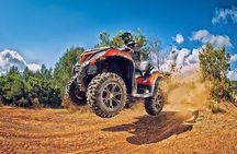Ultimate ATV and Forest Adventure in Golden Sands