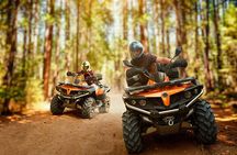 Ultimate ATV and Forest Adventure in Golden Sands