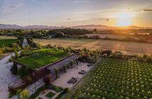 Vineyard walk and wine tasting in l’Empordà