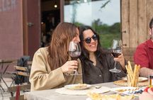 Vineyard walk and wine tasting in l’Empordà