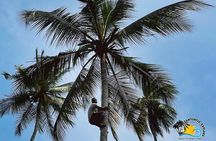 Zanzibar Spice Farm Tour and Cooking Class With Lunch