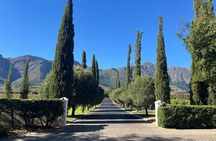 Franschhoek Wine Tram and Wine Tasting Tour with Tram Ticket