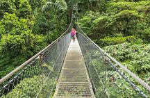 Arenal Volcano & Hanging Bridges Park at Mistico Park