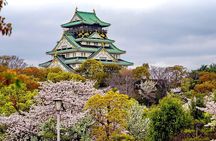 Osaka Full Day Walking Tour with Local Expert Guide