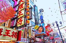 Osaka Full Day Walking Tour with Local Expert Guide
