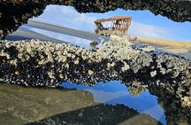 Full Tour of 4 coastal towns from Astoria to Seaside with lunch