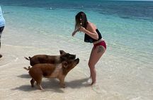 Creative Eco Adventures Swimming Experience with the Pigs