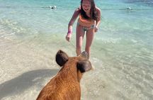 Creative Eco Adventures Swimming Experience with the Pigs